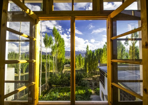 Cost of Wood Window Replacement in West Bend
